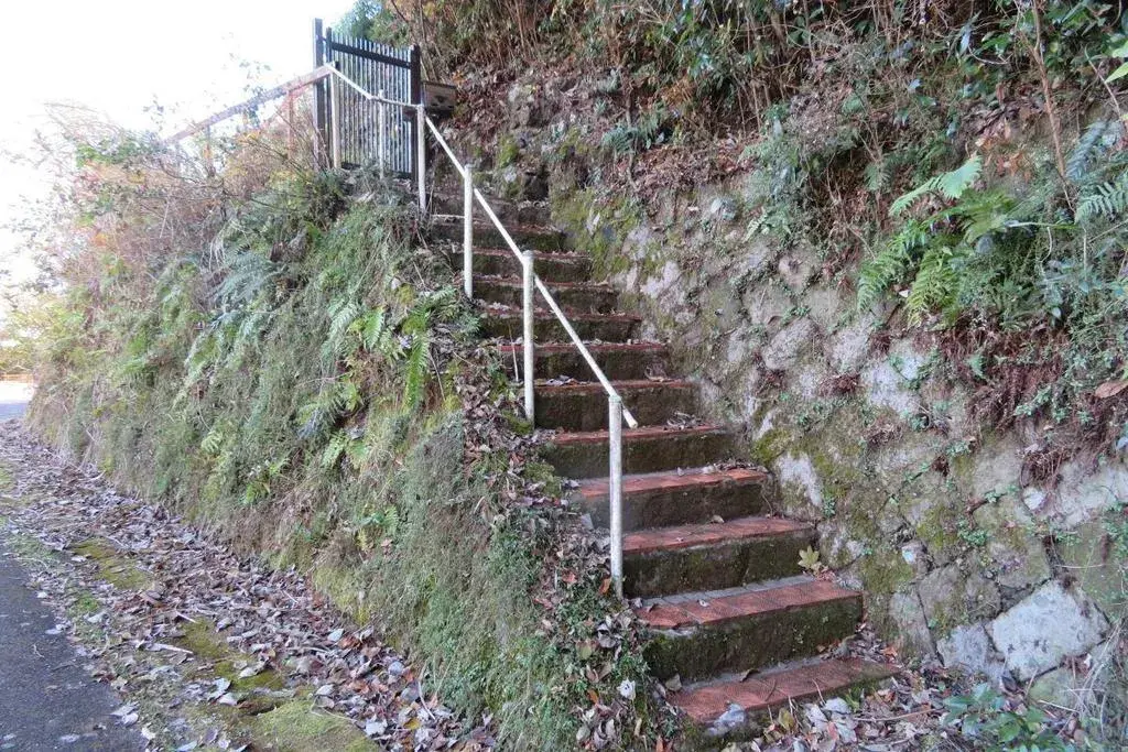 Slide 16