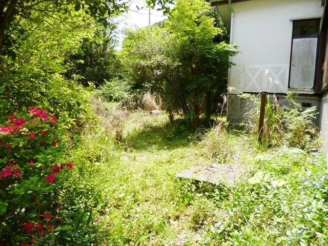 Slide 1