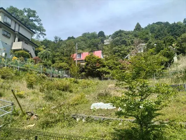 Slide 1