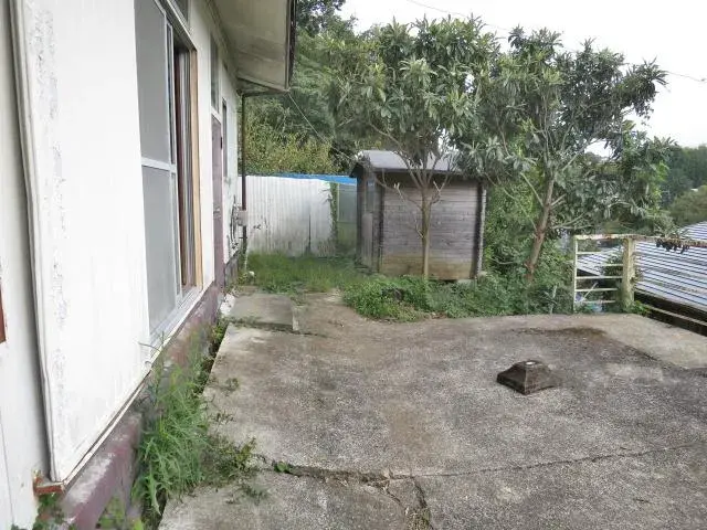 Slide 5