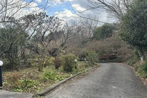 Slide 5