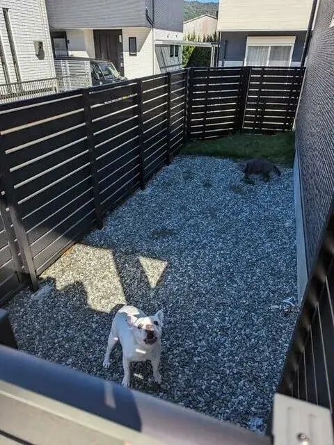 Slide 0