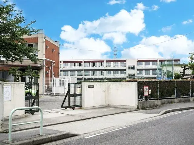 Slide 17