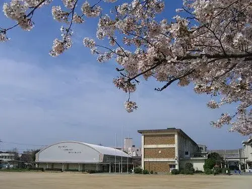 Slide 9
