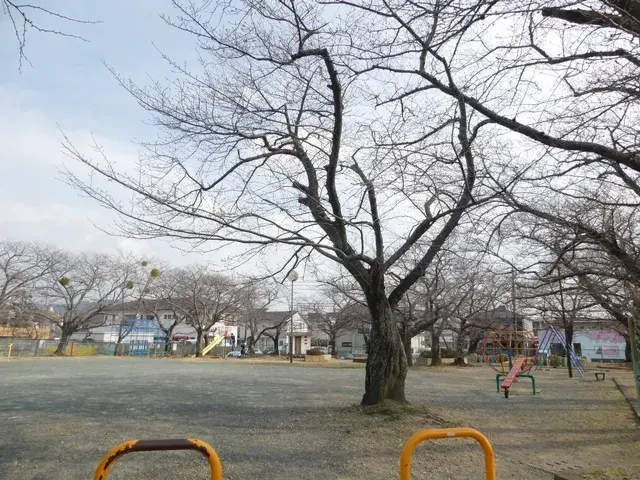 Slide 9