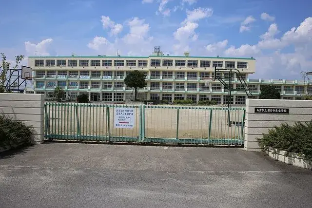 Slide 5