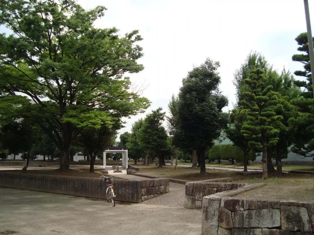 Slide 17