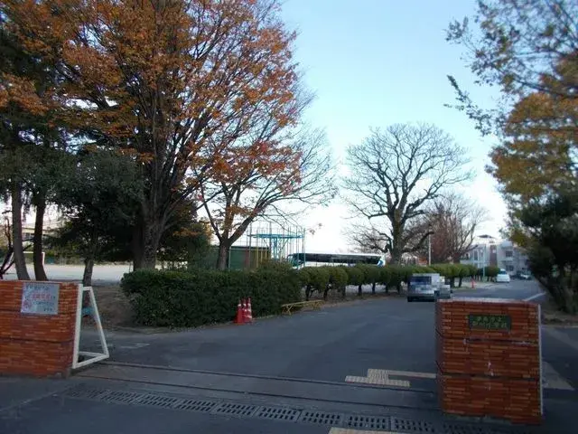 Slide 7