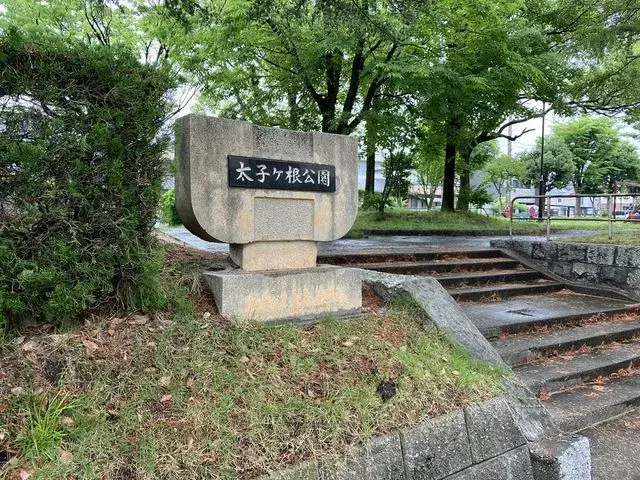 Slide 23