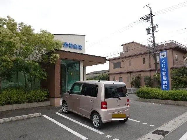Slide 0