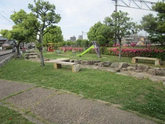 Slide 6