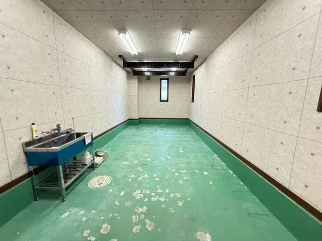 Slide 12