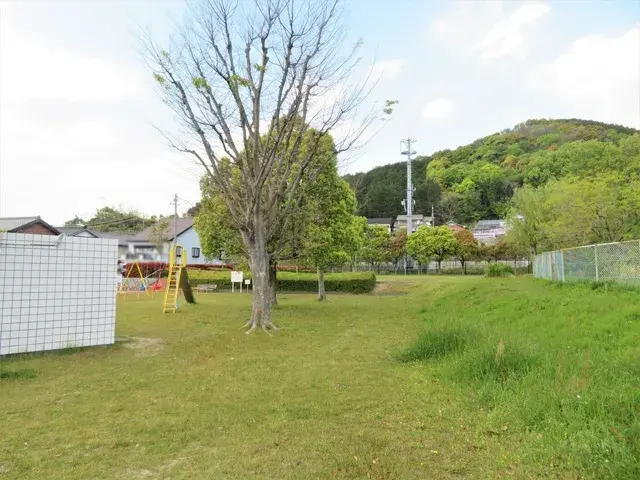 Slide 8
