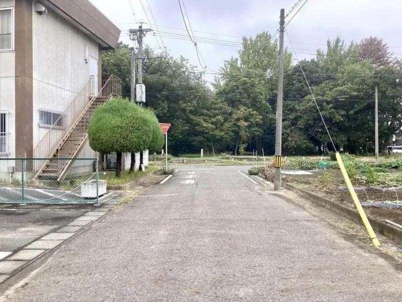 Slide 4
