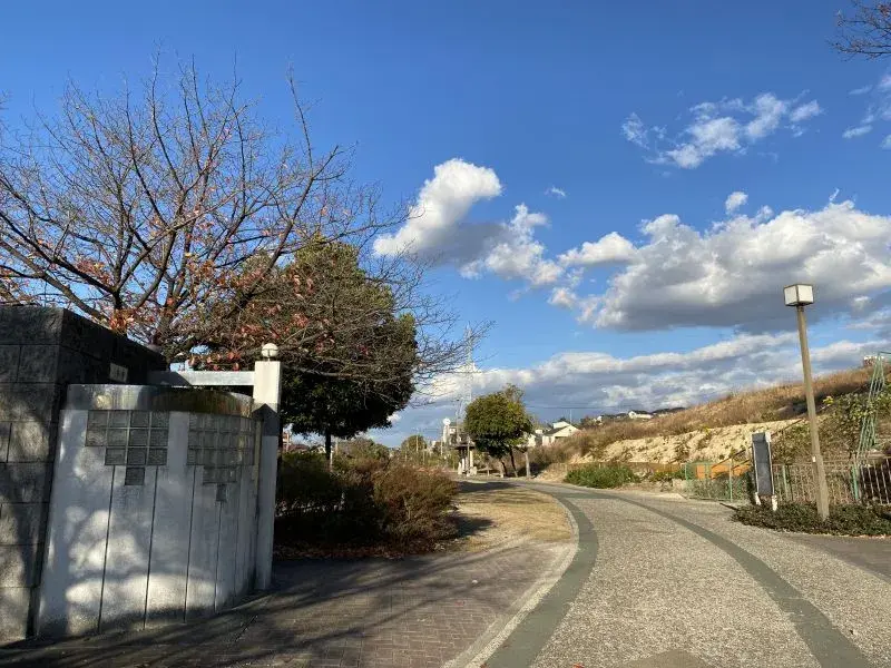 Slide 4