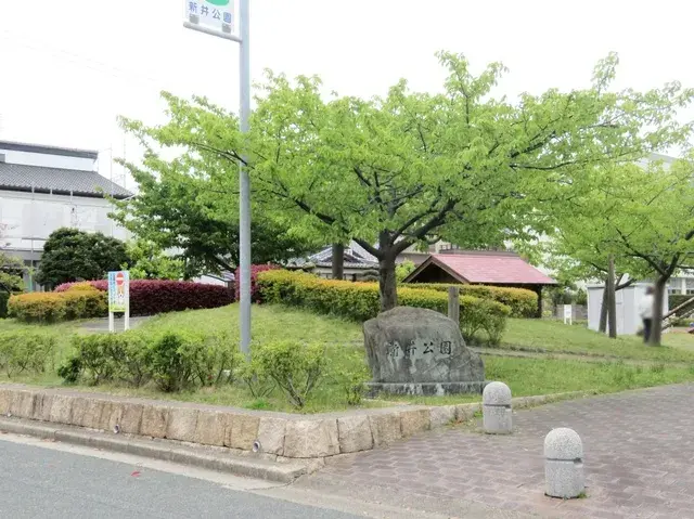 Slide 8