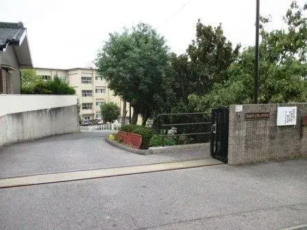 Slide 5