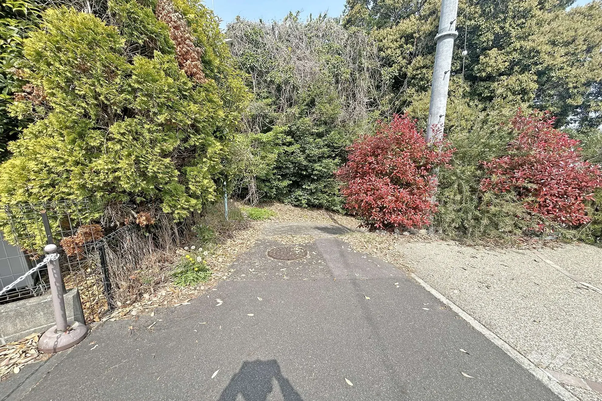 Slide 4