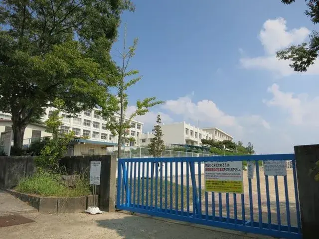 Slide 0