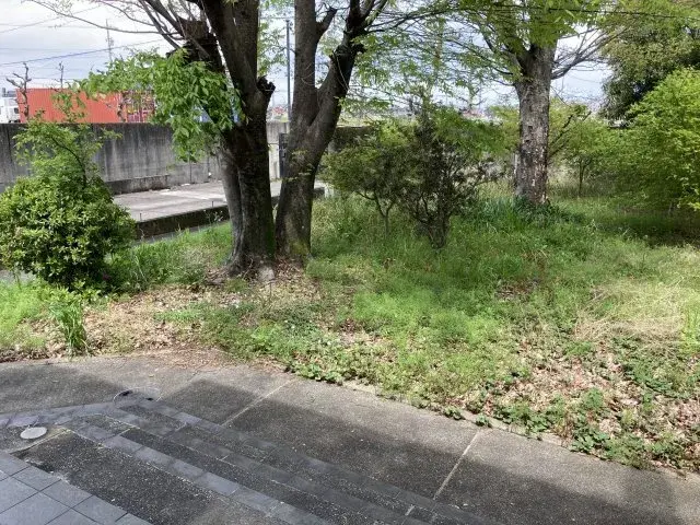 Slide 3