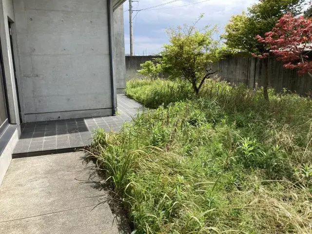 Slide 5