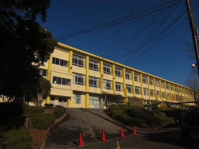 Slide 19