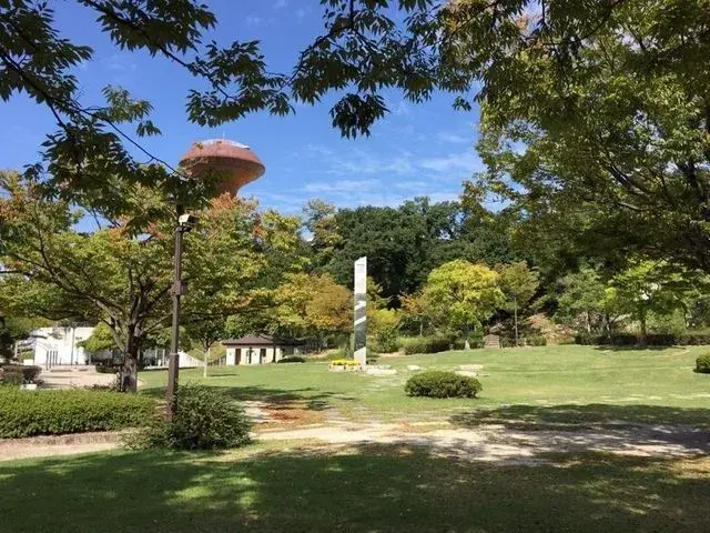 Slide 6