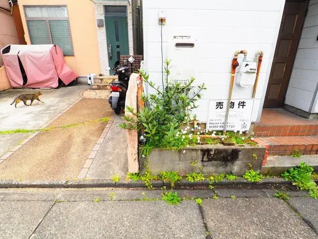 Slide 3