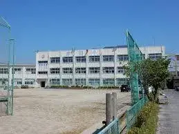 Slide 7