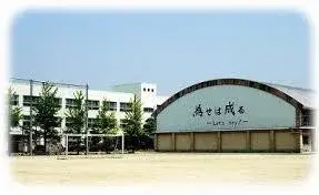Slide 8