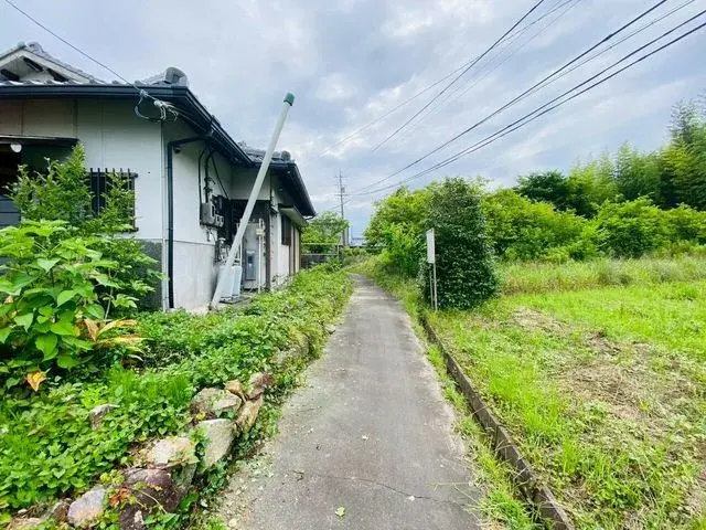 Slide 3