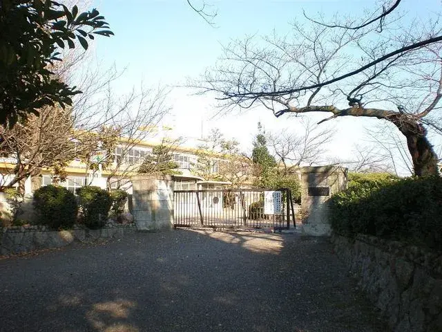 Slide 5