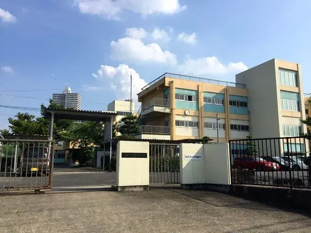 Slide 6