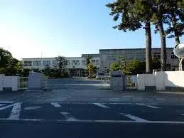 Slide 8