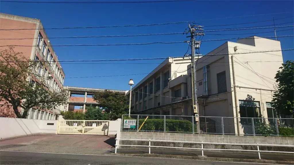Slide 8