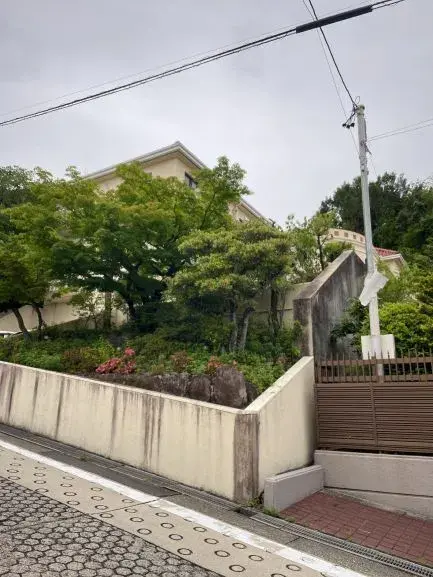 Slide 1