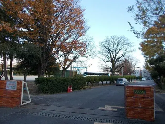 Slide 5