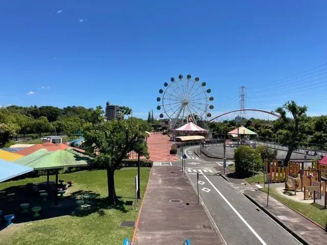 Slide 8