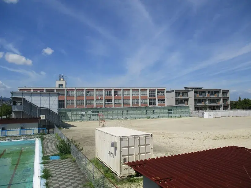 Slide 24