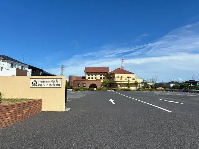Slide 17