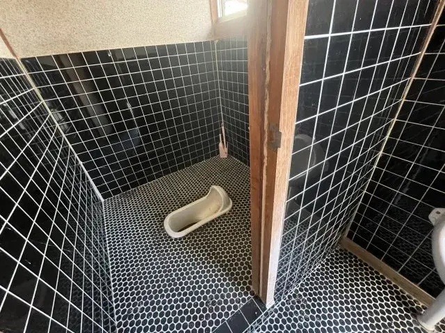Slide 5