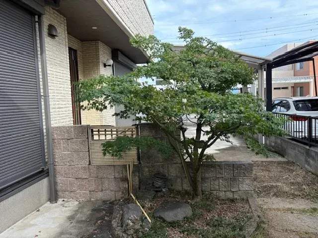 Slide 2