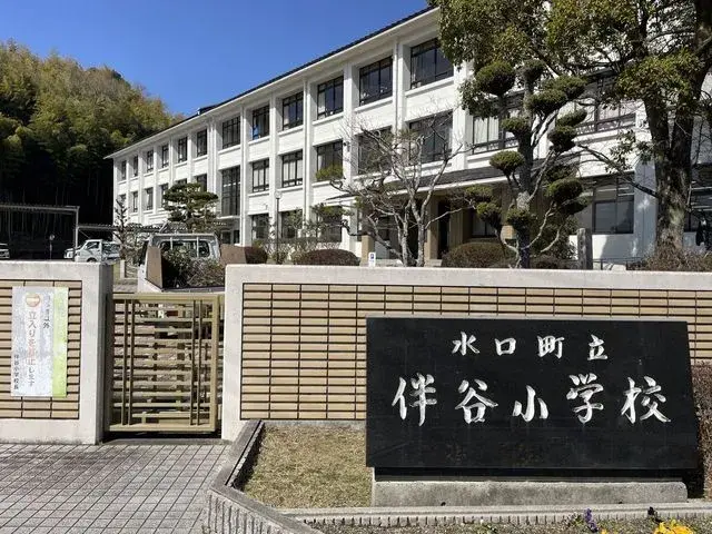 Slide 7