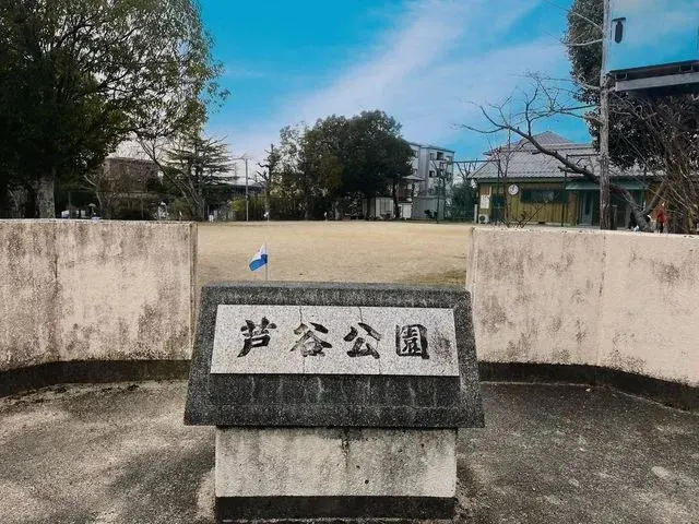 Slide 9