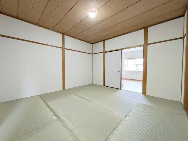 Slide 5