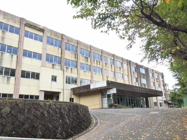 Slide 5