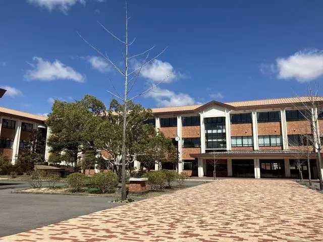 Slide 8