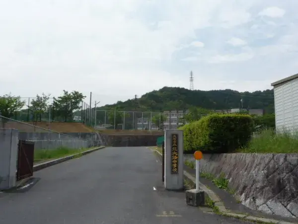 Slide 5