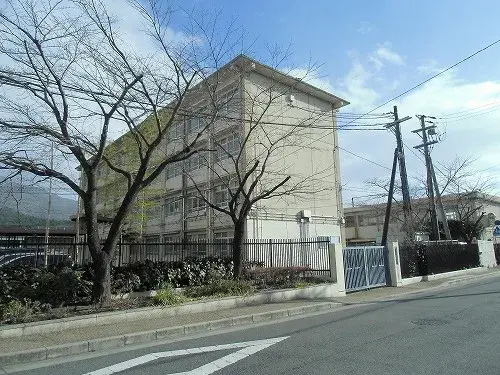 Slide 6