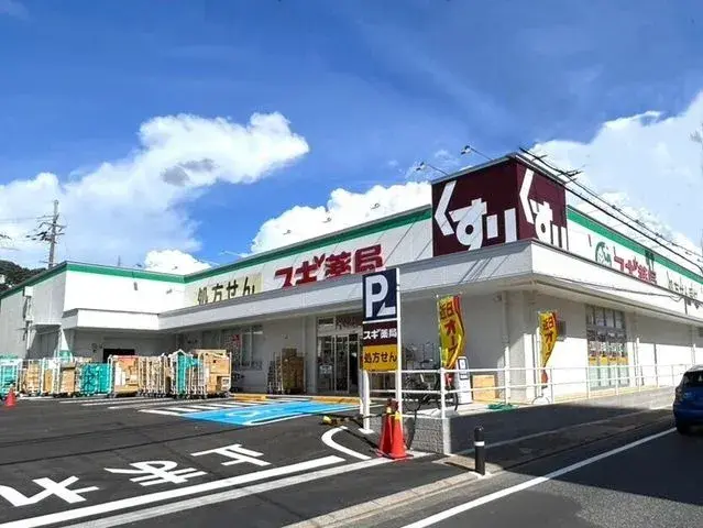 Slide 6